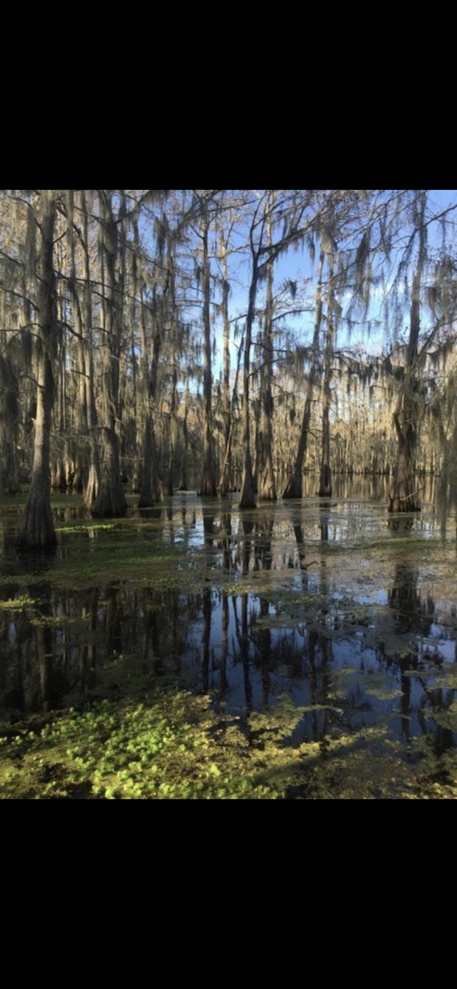 Bayou And Beyond: The Perfect Stay Monroe Zewnętrze zdjęcie